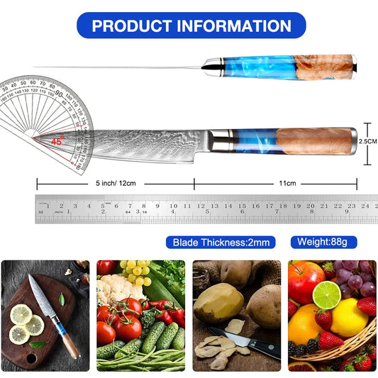 5 Zoll kleines Küchenmesser VG10 Damaststahl