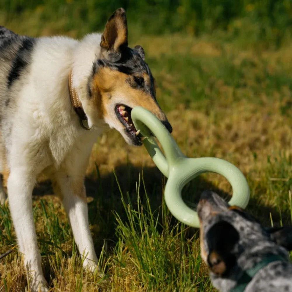Interactive Rubber Pet Dog Bite Pull Toy