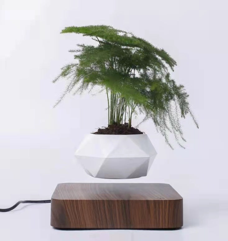 Schwebender Blumentopf