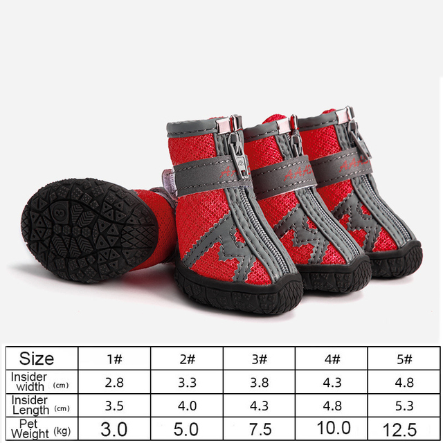 Hundeschuhe für heißen Asphalt