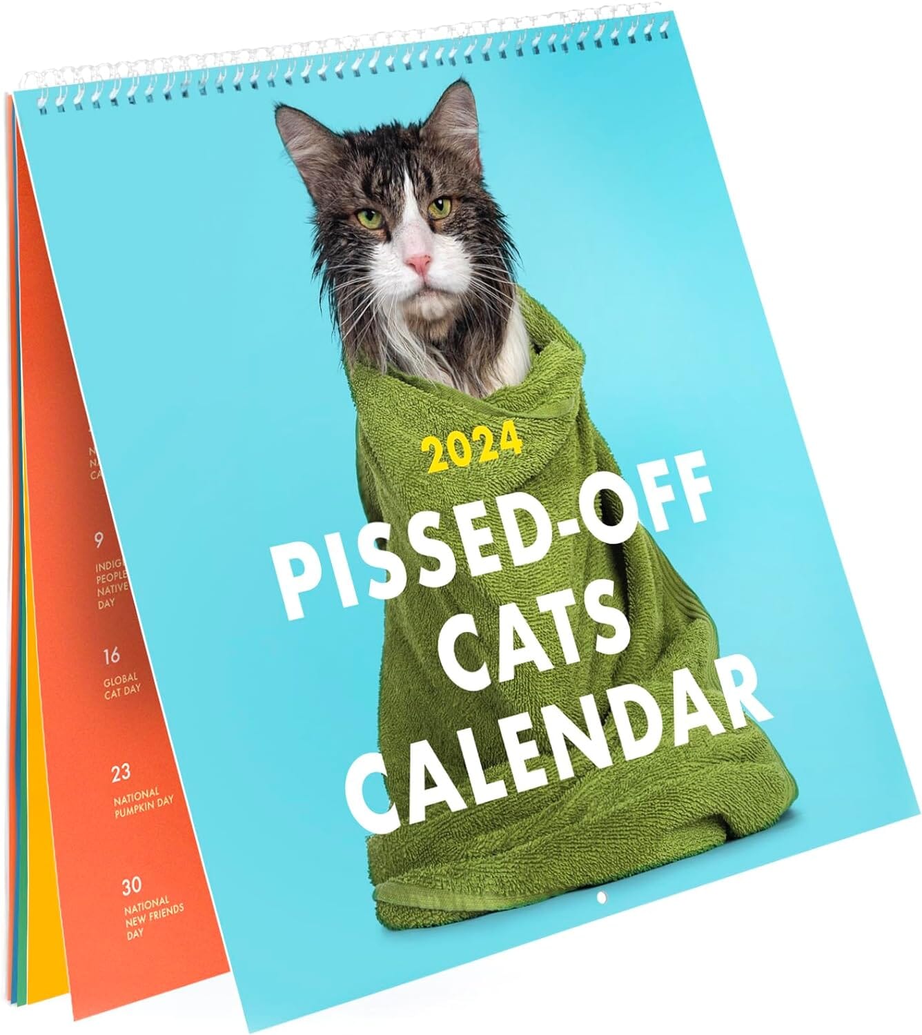 2024 Ilskna Katter Kalender