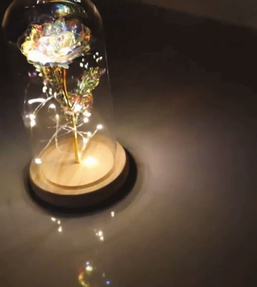 Verzauberte Galaxienrose