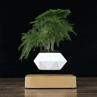 Schwebender Blumentopf