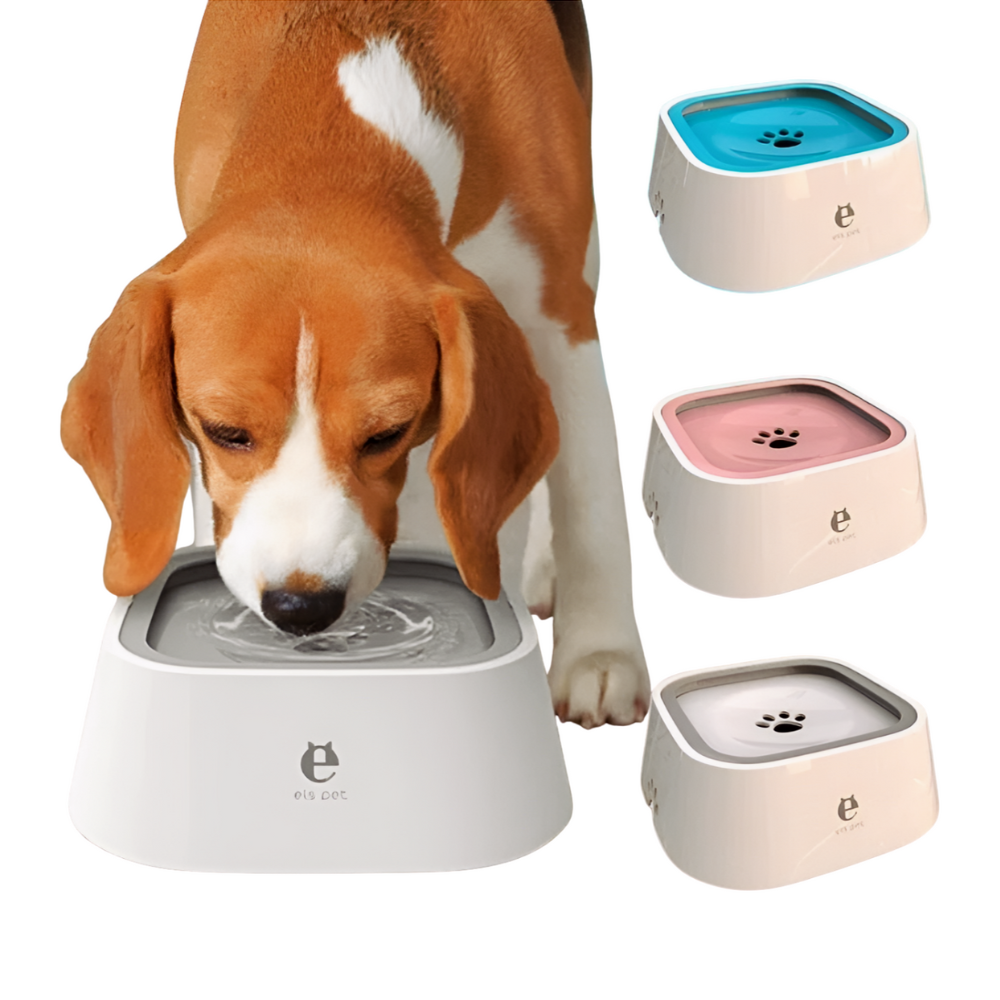 Auslaufsicherer Wassernapf für Hunde
