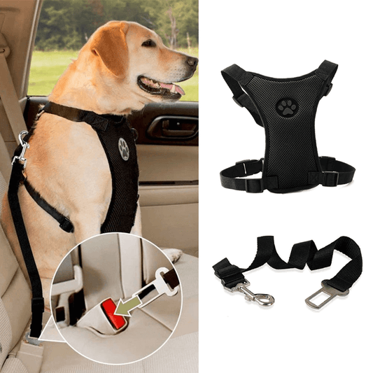 Autositz + Hundegeschirr