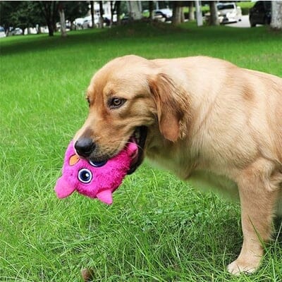 Bouncer – Interaktiver hüpfender Ball für Hunde