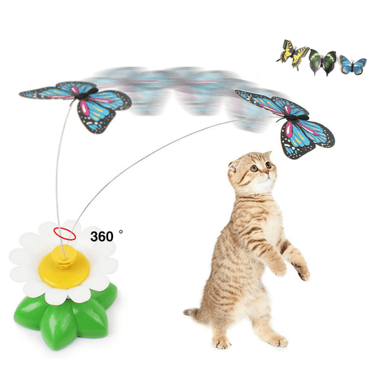 Butterfly Cat Teaser™ – Freihändiges Katzenspielzeug für stundenlange Unterhaltung