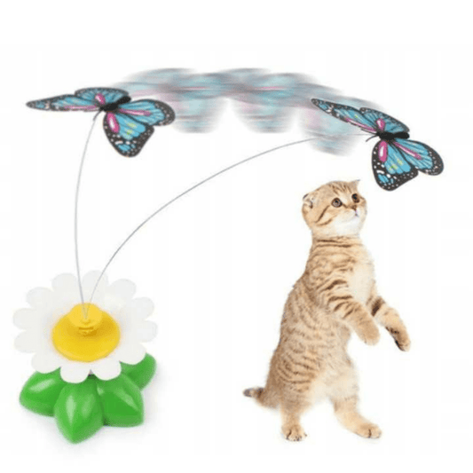 Butterfly Cat Teaser™ – Freihändiges Katzenspielzeug für stundenlange Unterhaltung