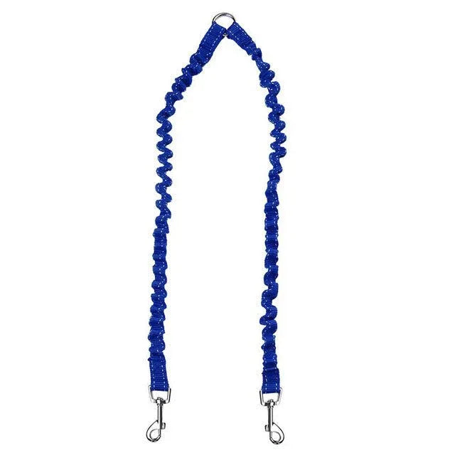 Double Nylon Pet Dog Leash