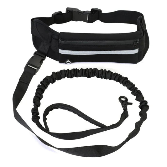 Pet Handsfree Dog Leash And Waistbag