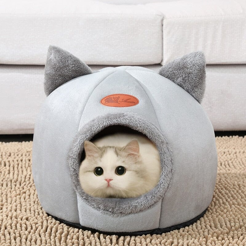 Kattigloo