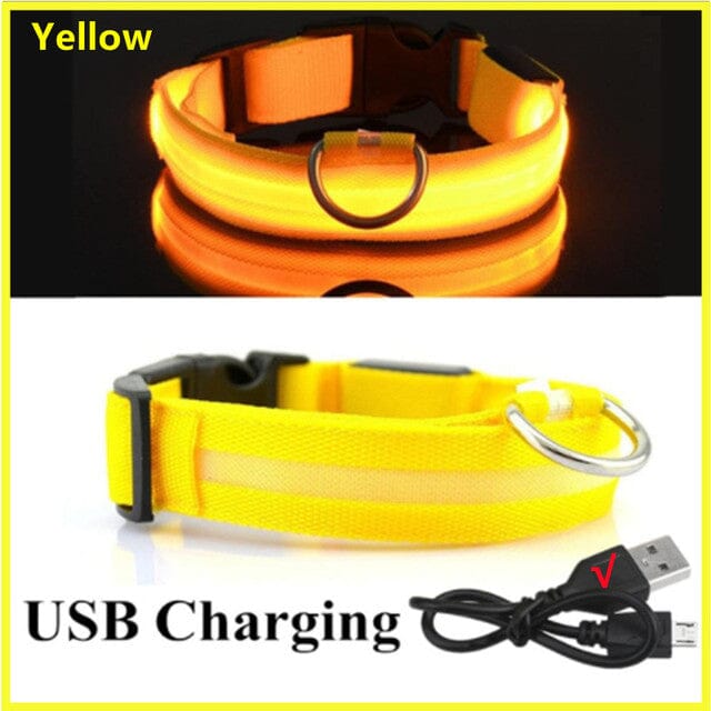 LED Hundhalsband