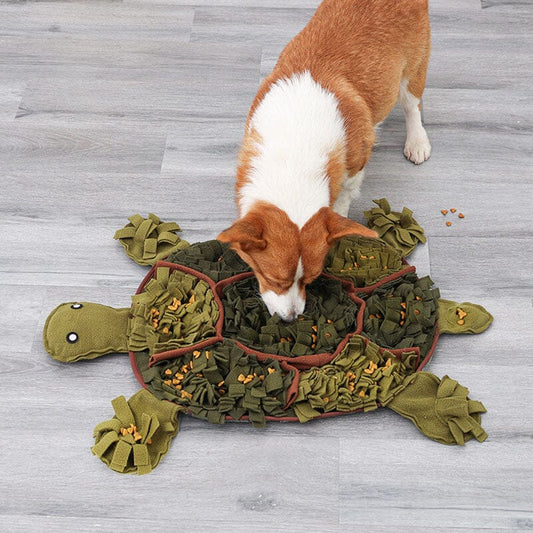 Schnüffelteppich Schildkröte