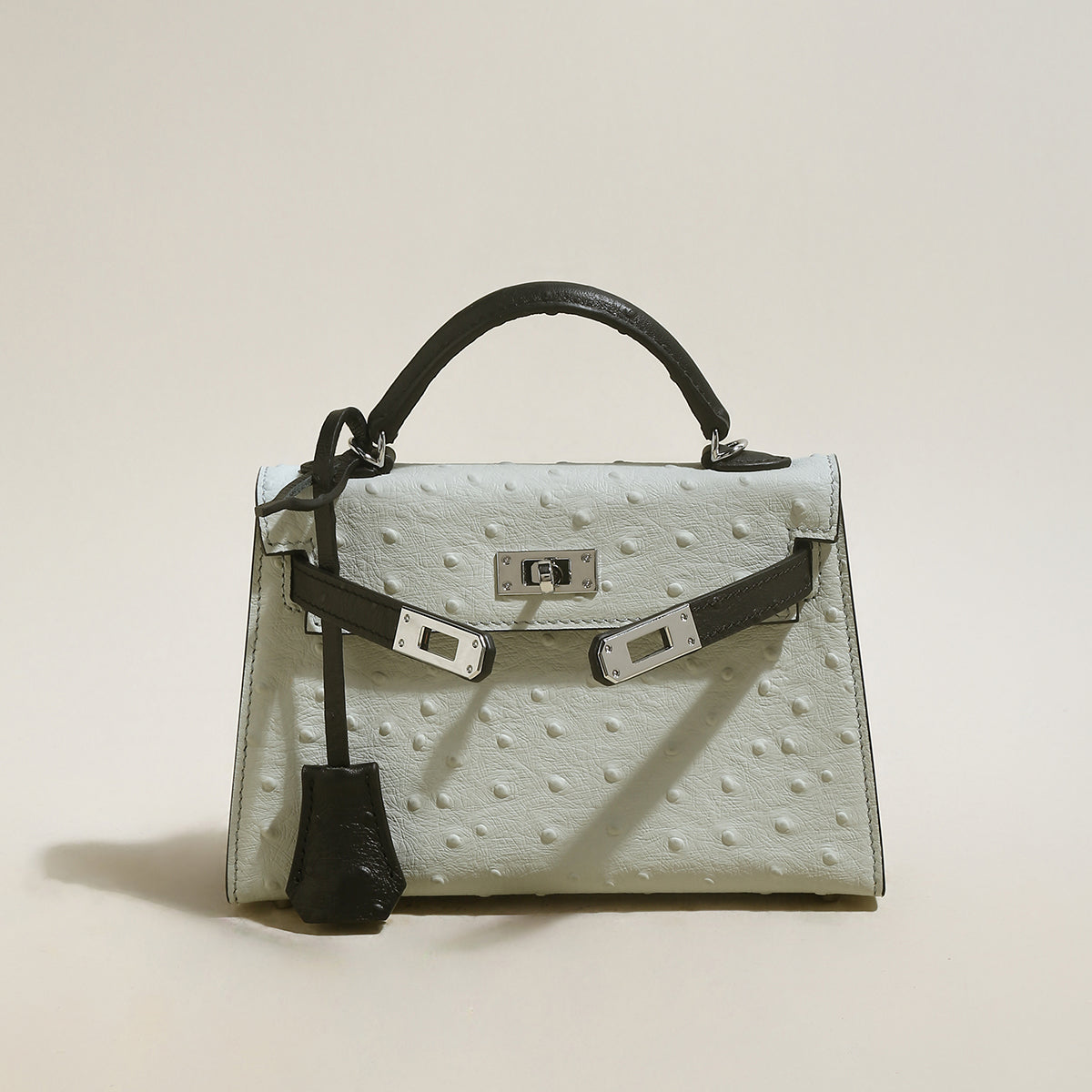 Swift Textured Leather Structured Top Handle Bag-2